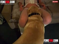 During the Webcam footage, the amateur mother licked and smelled at the puppy.